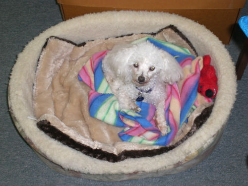 frostyinbed6-28-13-sm (41K)